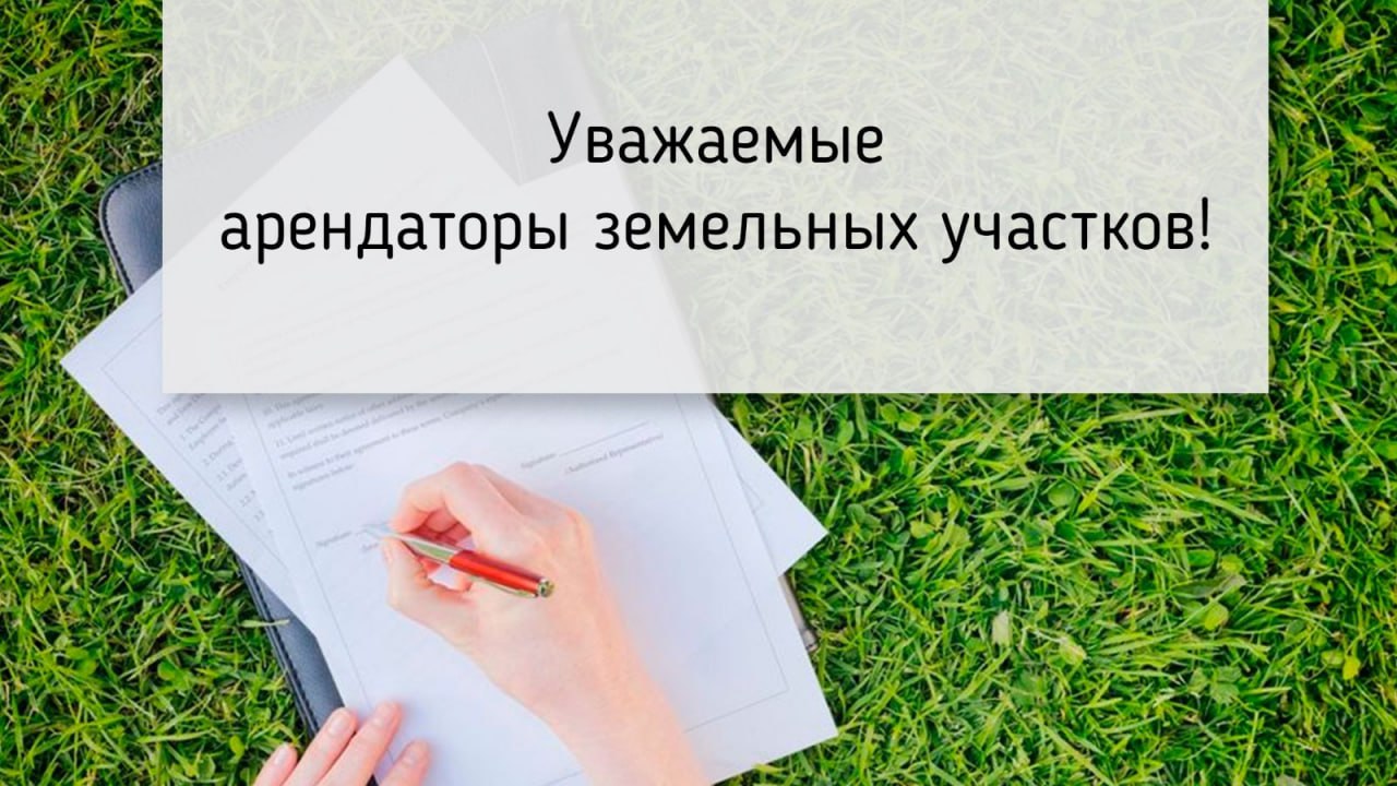 Арендаторам земельных участков из категории земель сельскохозяйственного использования.